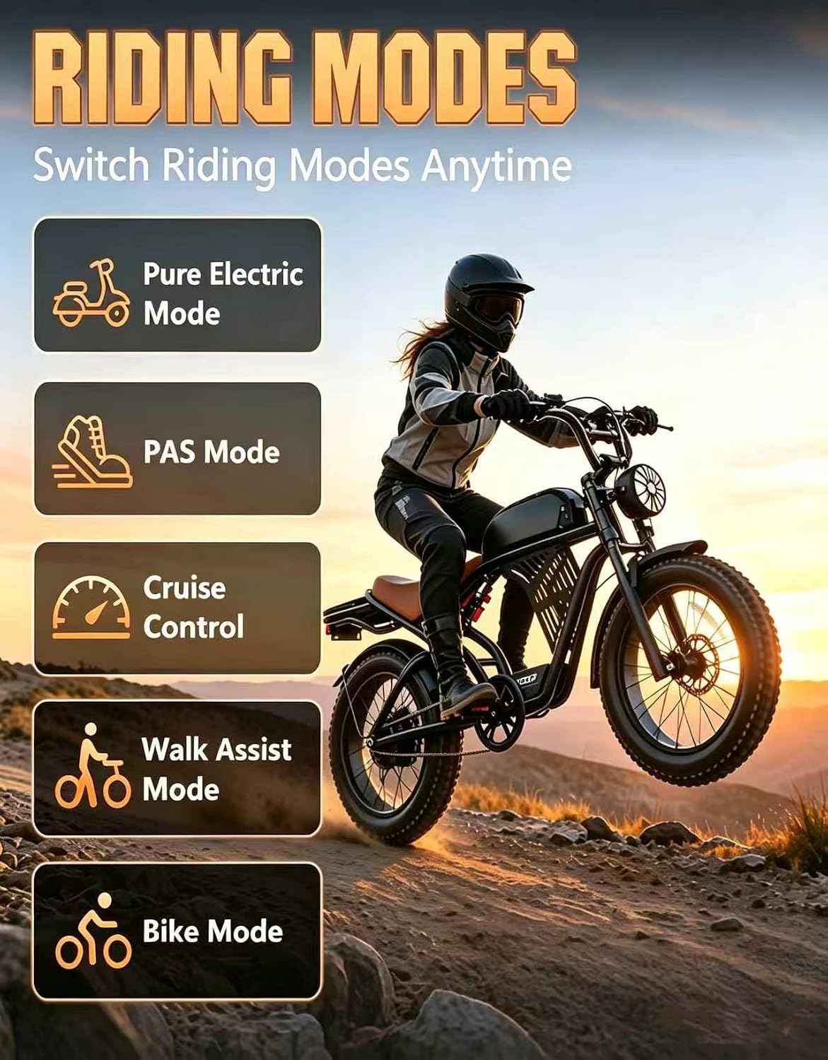 Adults Electric Bike