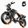 Adults Electric Bike