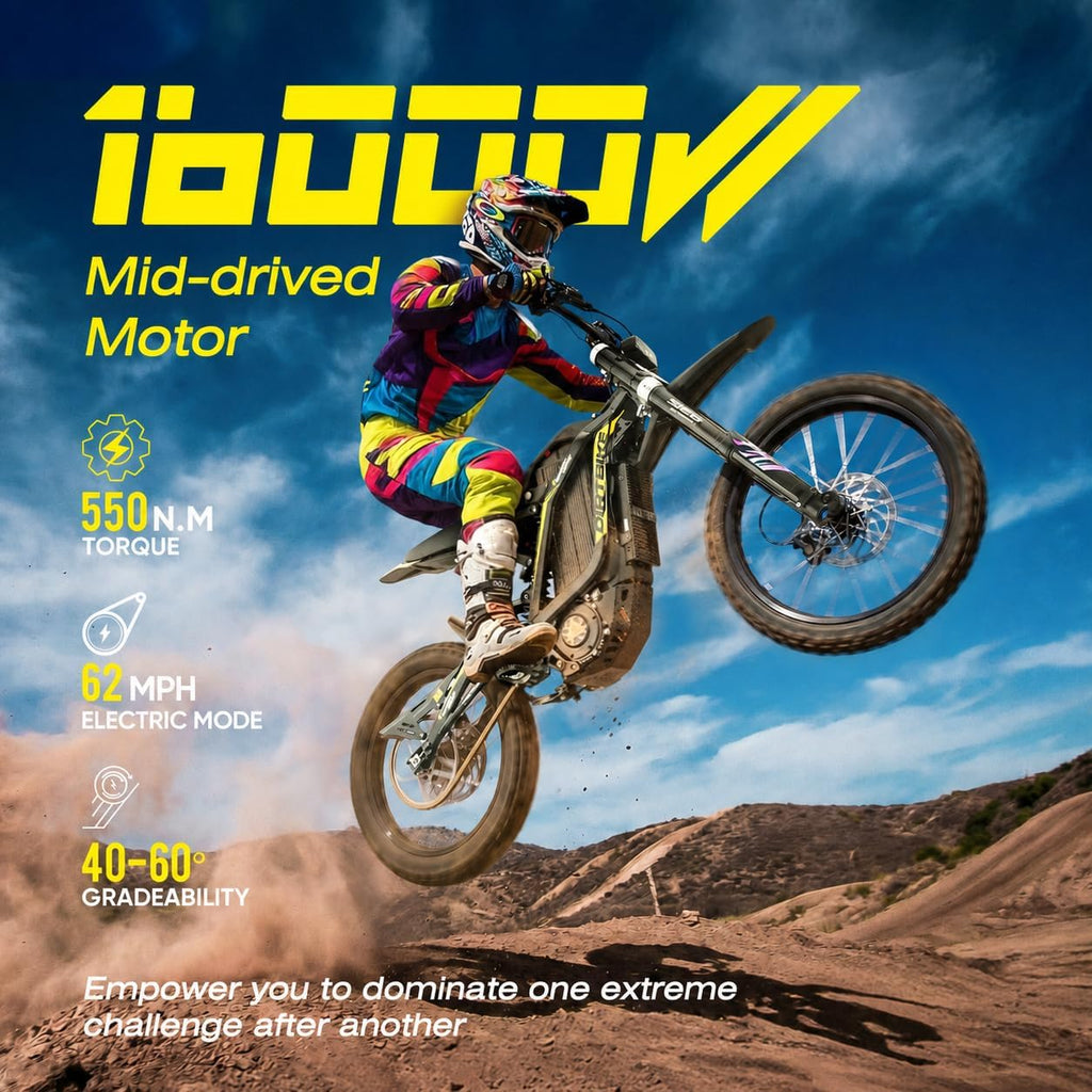 Thunderwasp XR16/X10/TE Electric Dirt Bike for Adult, 16KW Mid-drive Motor
