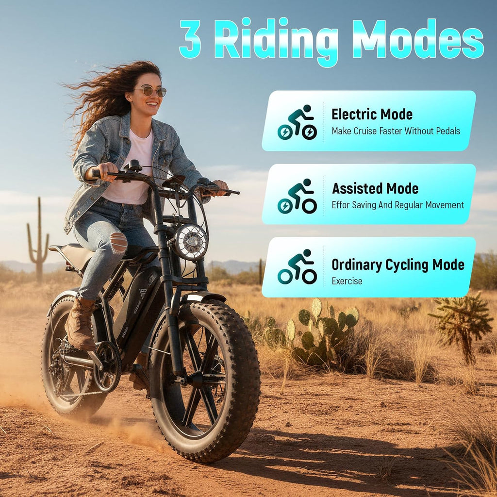 TST Electric Bike - 48V 15Ah Battery, 1500W Peak Motor, 20 * 4.0 Fat Tire