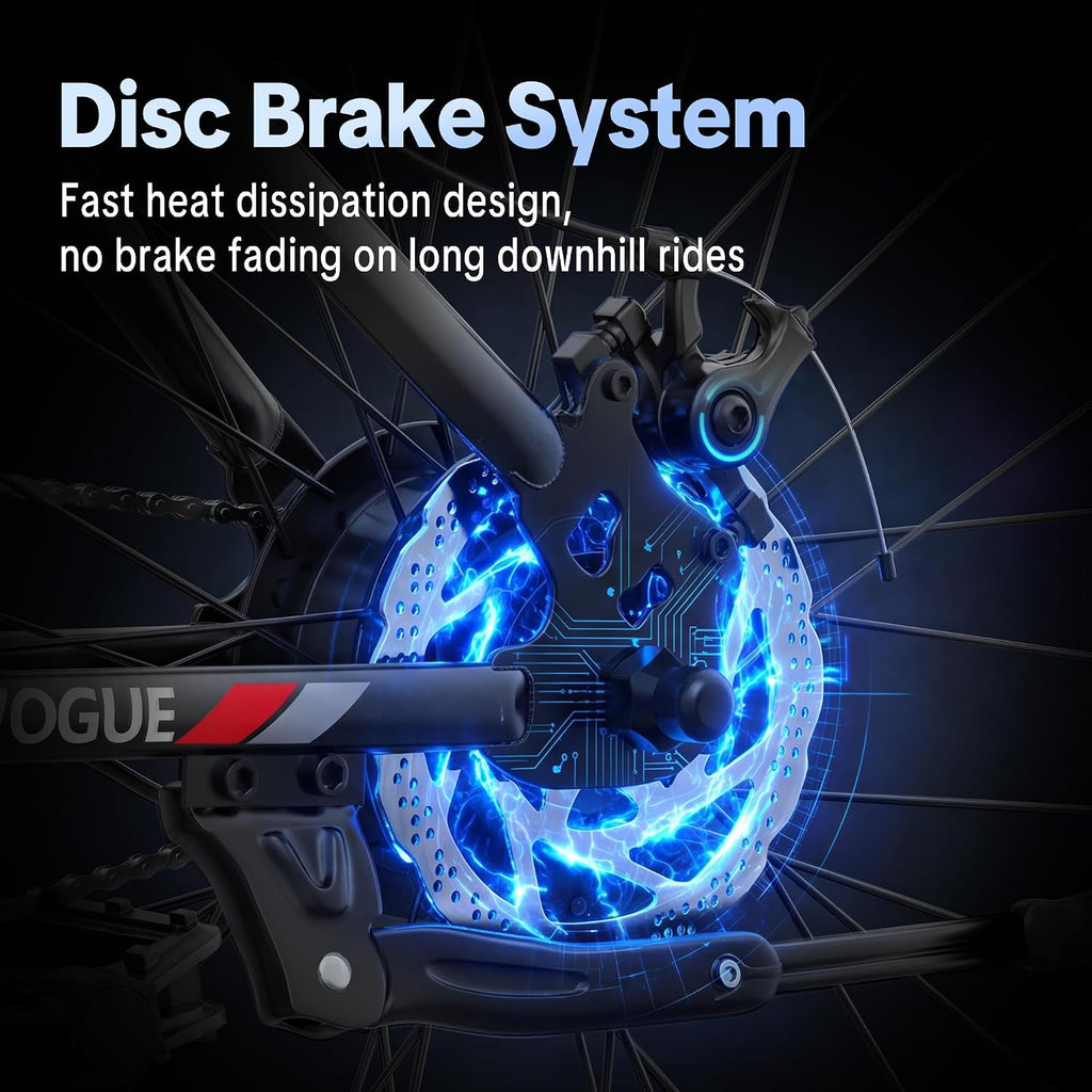 Removable Battery Ebike