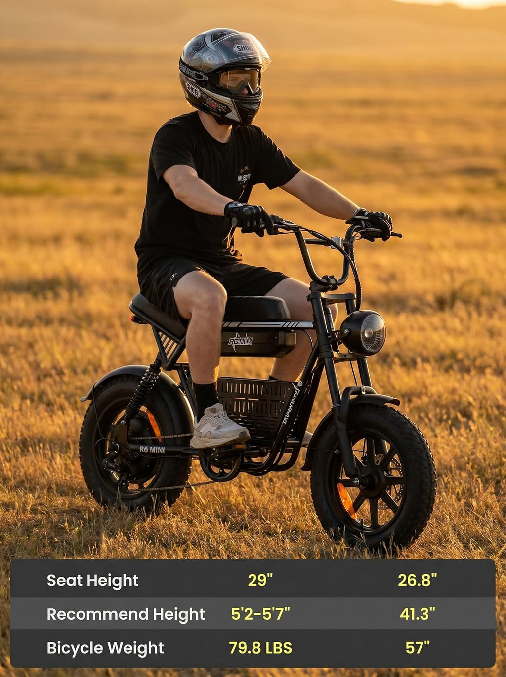 isinwheel R6mini Electric Bike Peak 1000W Motor Fat Tire Ebike,48V 13Ah Battery Range 30+Miles Top 20+ mph with Frontlight Bluetooth Speaker and Bottom-Mounted Basket for Commute,Camping