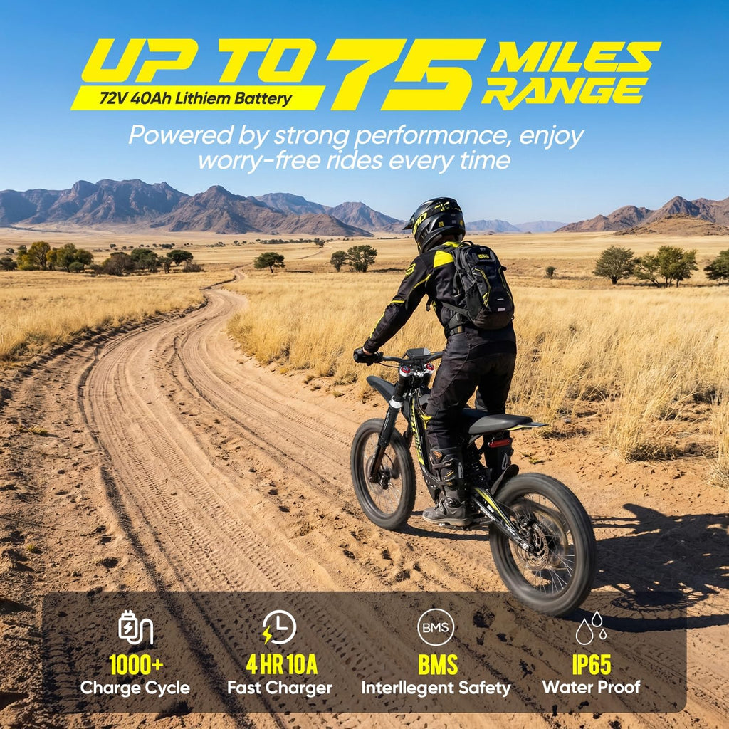 Thunderwasp XR16/X10/TE Electric Dirt Bike for Adult, 16KW Mid-drive Motor