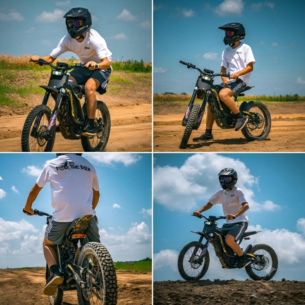 Thunderwasp XR16/X10/TE Electric Dirt Bike for Adult, 16KW Mid-drive Motor