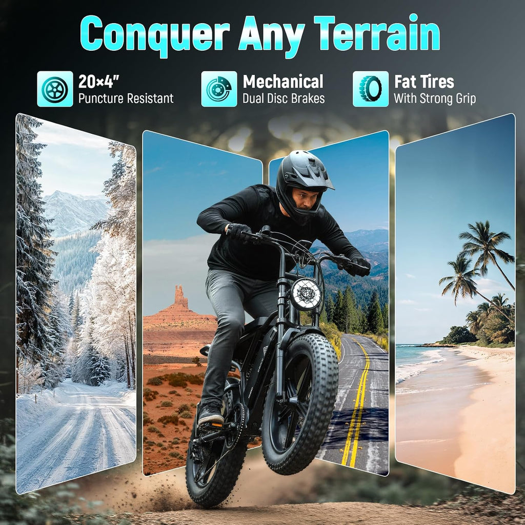 TST Electric Bike - 48V 15Ah Battery, 1500W Peak Motor, 20 * 4.0 Fat Tire