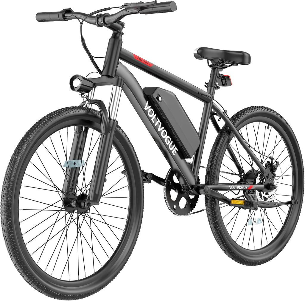 Removable Battery Ebike